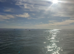 IMG_20220926_160725_1669873603469