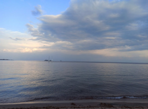 IMG_20200817_191031.jpg
