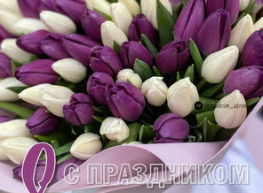 IMG-20250308-WA0001