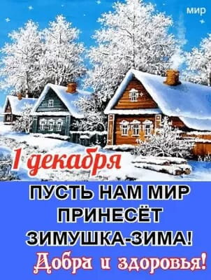 28 неделек