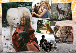 Самые верные друзья: лучшие фильмы о том, как животные спасают людей