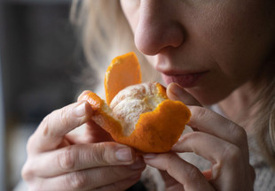 Цитрусовый рай: как вырастить мандарин из косточки