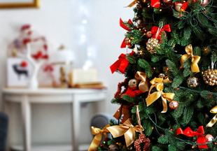 К Рождеству готовы: семья из Германии нарядила дома... более 400 елок!