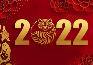 Как встречать 2022-й: советы по знакам Зодиака на год Тигра