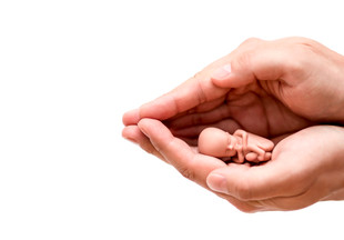 Замершая беременность: причины, диагностика, обследование для будущего зачатия