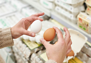 Секреты поваров: 5 способов, как определить свежесть яиц