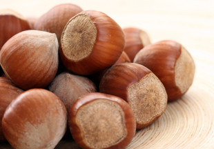 Фундук: польза и вред лесного ореха