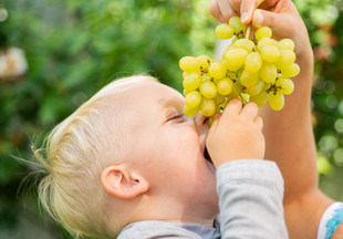 Виноград: с какого возраста можно давать ребенку