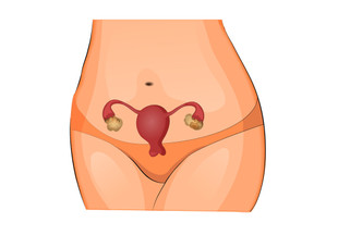 Гипоплазия матки: возможна ли беременность