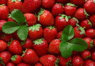 Любимая ягода: польза и вред клубники для здоровья