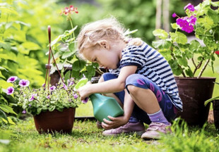 Маленький садовник: как вырастить огород вместе с ребенком?