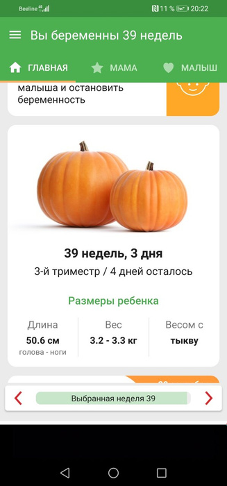 Самые тяжёлые последние денёчки
