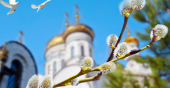 Вербное воскресенье: история и традиции праздника