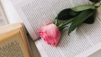 О чувствах и не только: топ-20 современных любовных романов
