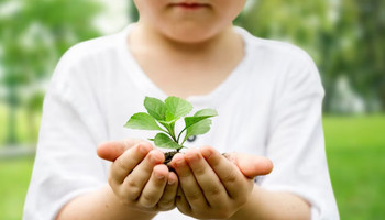 Экологическое воспитание дошкольников и школьников: простые принципы