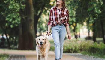 Прогулка с питомцем: как долго гулять с собакой