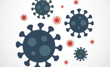 Штаммы коронавируса: виды и степень опасности