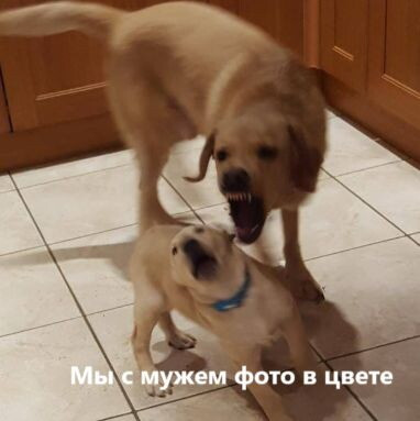 Прохожу тест «Какая ты мама», присоединяйтесь!