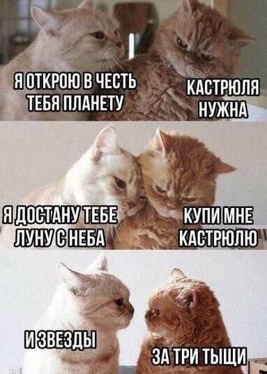 А вы когда-то намекали на подарки?