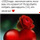 ОКСАНА null