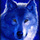 SheWolf