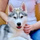 Жанна Кошевая