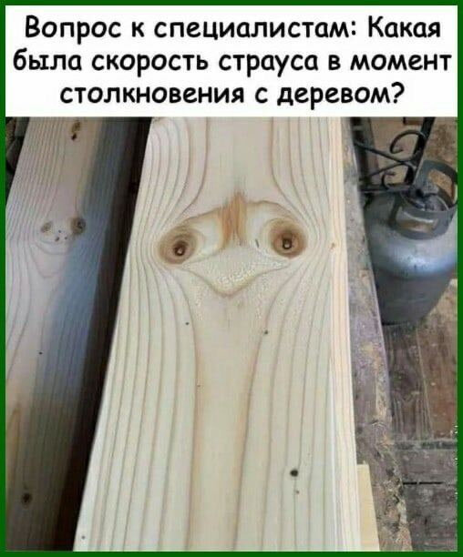 Угадайте максимальную скорость страуса?