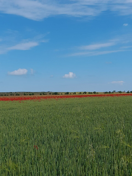 Всё таки у меня