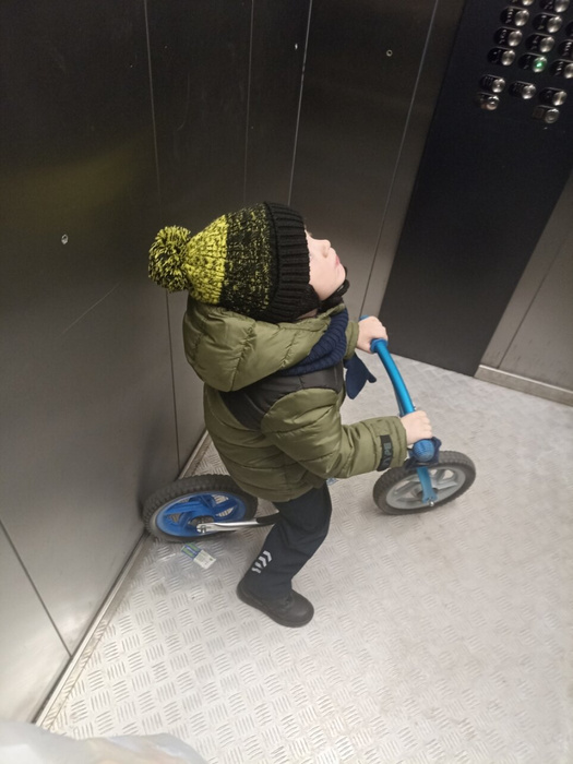 Люблю