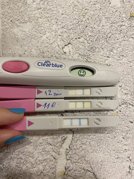 Тест на овуляцию показывает беременность?
