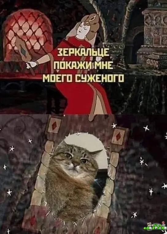А ваши дети любят котов?