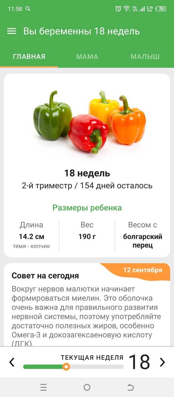 18 неделек 🤰
