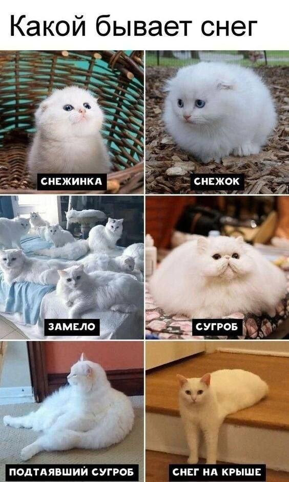 У кого какой снег под окном?