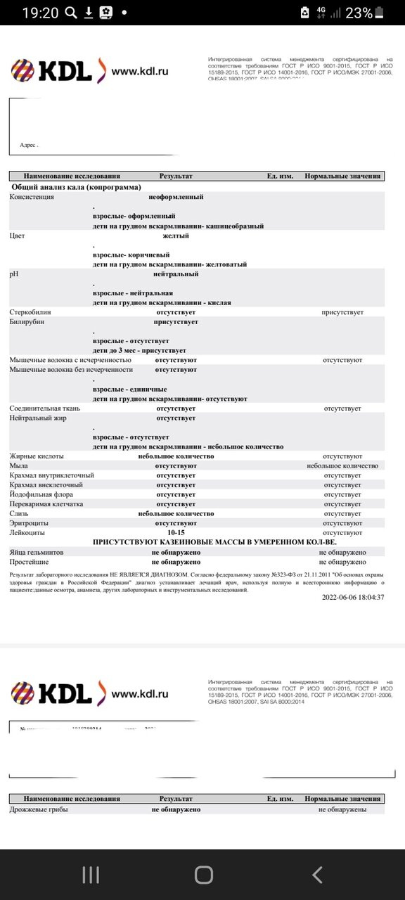 Копрограмма. ГВ. Казеиновые массы. Помогите пожалуйста расшифровать анализ.