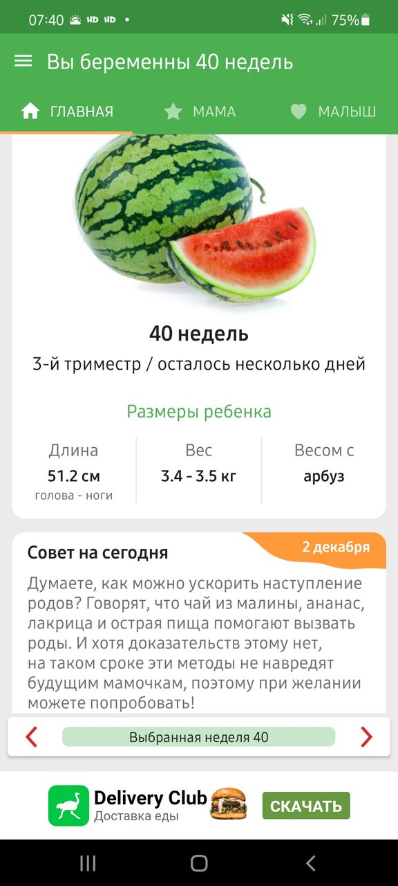 40 недель