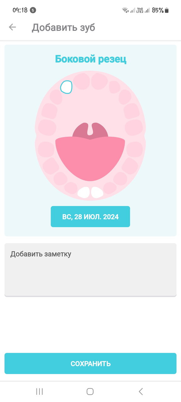 Зубки