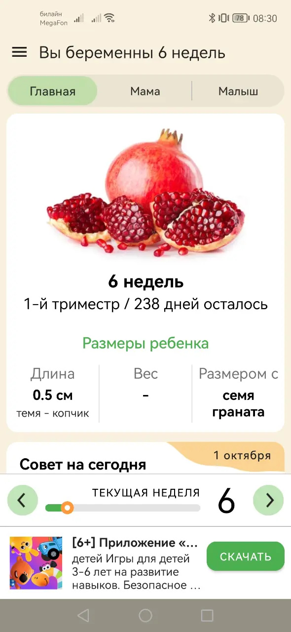 6 недель)