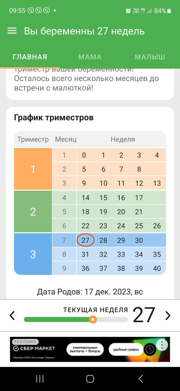 Третий триместр