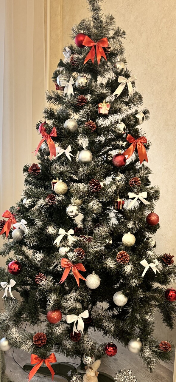С наступающим , девчонки! 🎄🍾 моя елка 😀☝️