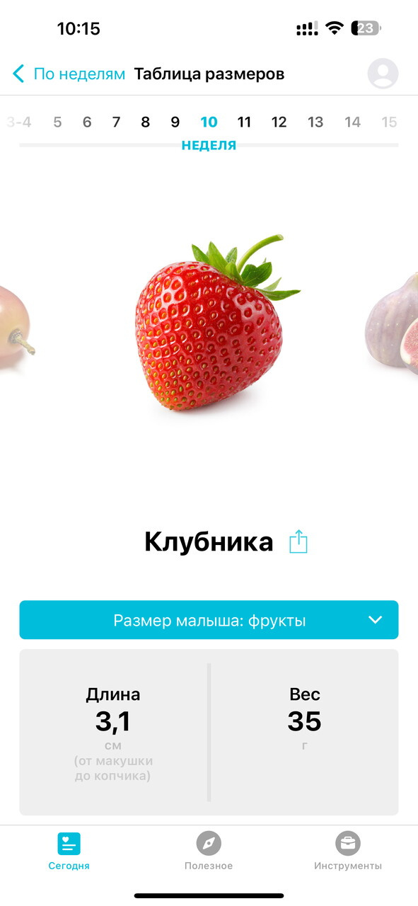 10 недель 😇