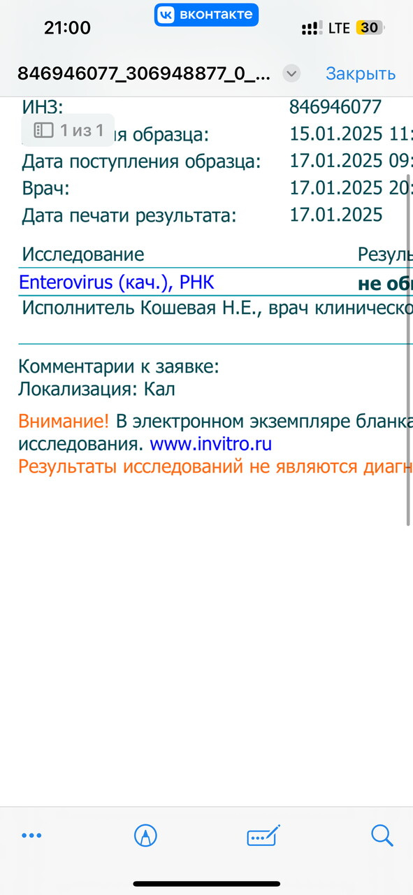 Кишечные протозоозы