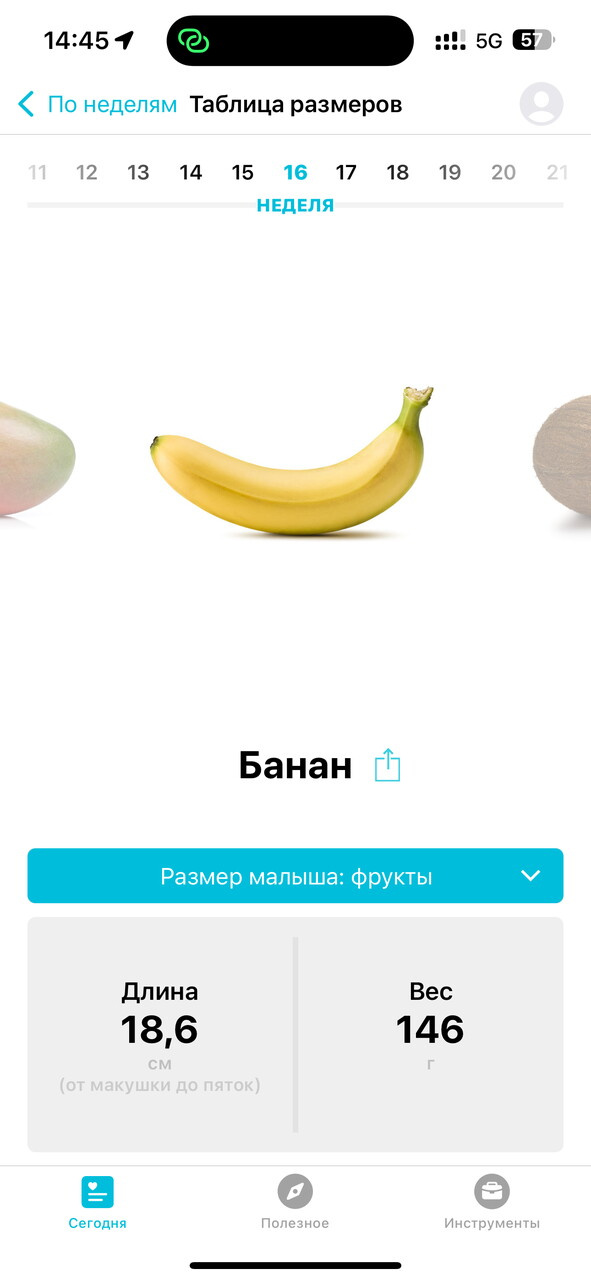 15 неделек, 16 по скринингу 😇