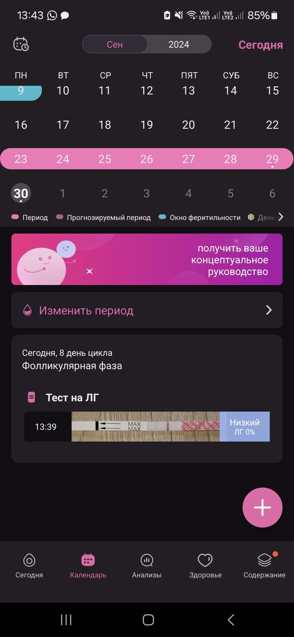 8дц ,выделения,фемометр