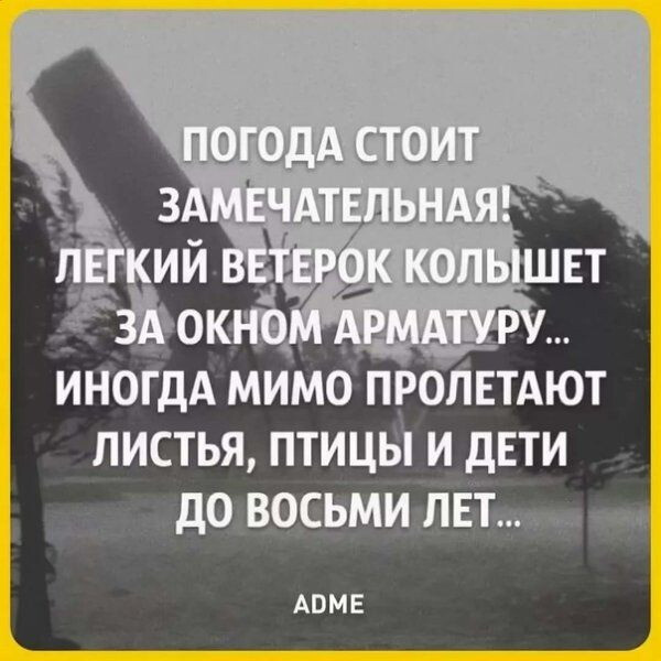Это Питер, детка