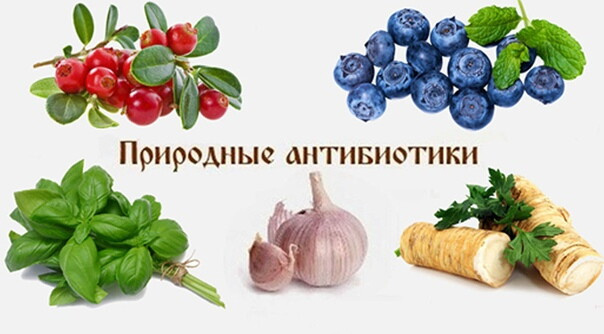 Природный антибиотик какой выбрать в сезон вирусов?