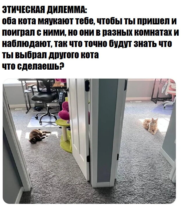 В какую комнату пойдете?