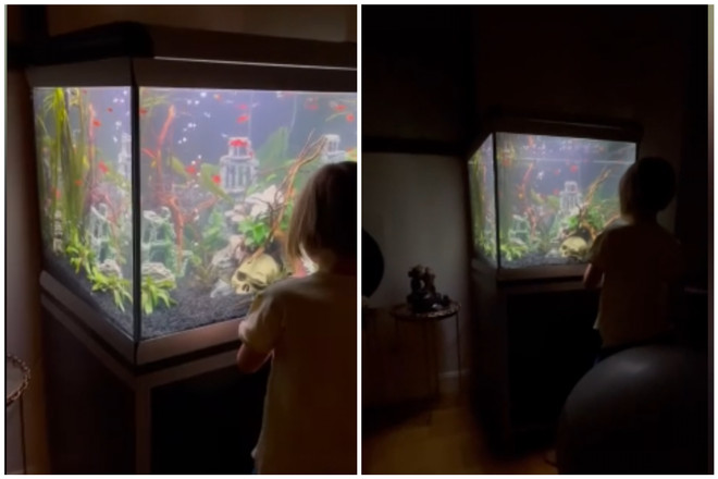 Неожиданно и странно: Тимати подарил дочке на 8-летие аквариум… с черепами