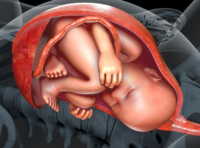 Преждевременная отслойка плаценты и матка Кувелера