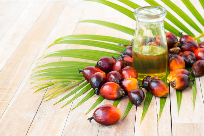 В чем польза и вред пальмового масла