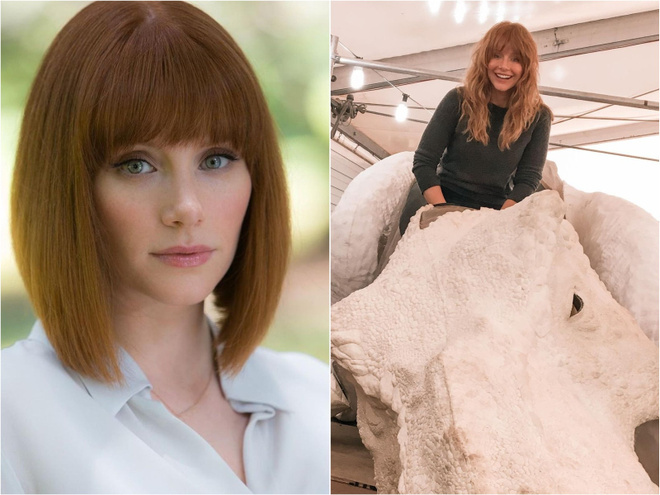 Instagram @ brycedhoward